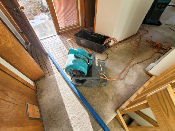 Best Plumbing Leak and Burst Pipe Cleanup in Bon Aqua Junction, TN